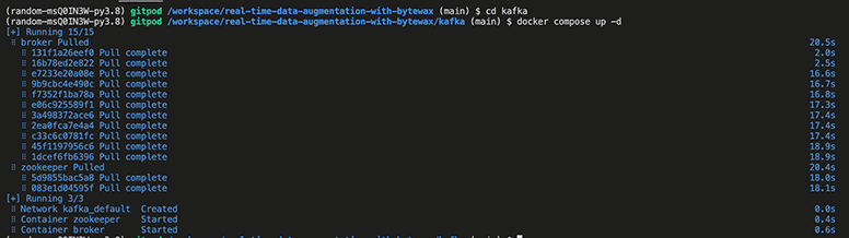 Output from docker compose run