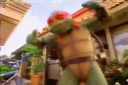 ninja-turtle.gif